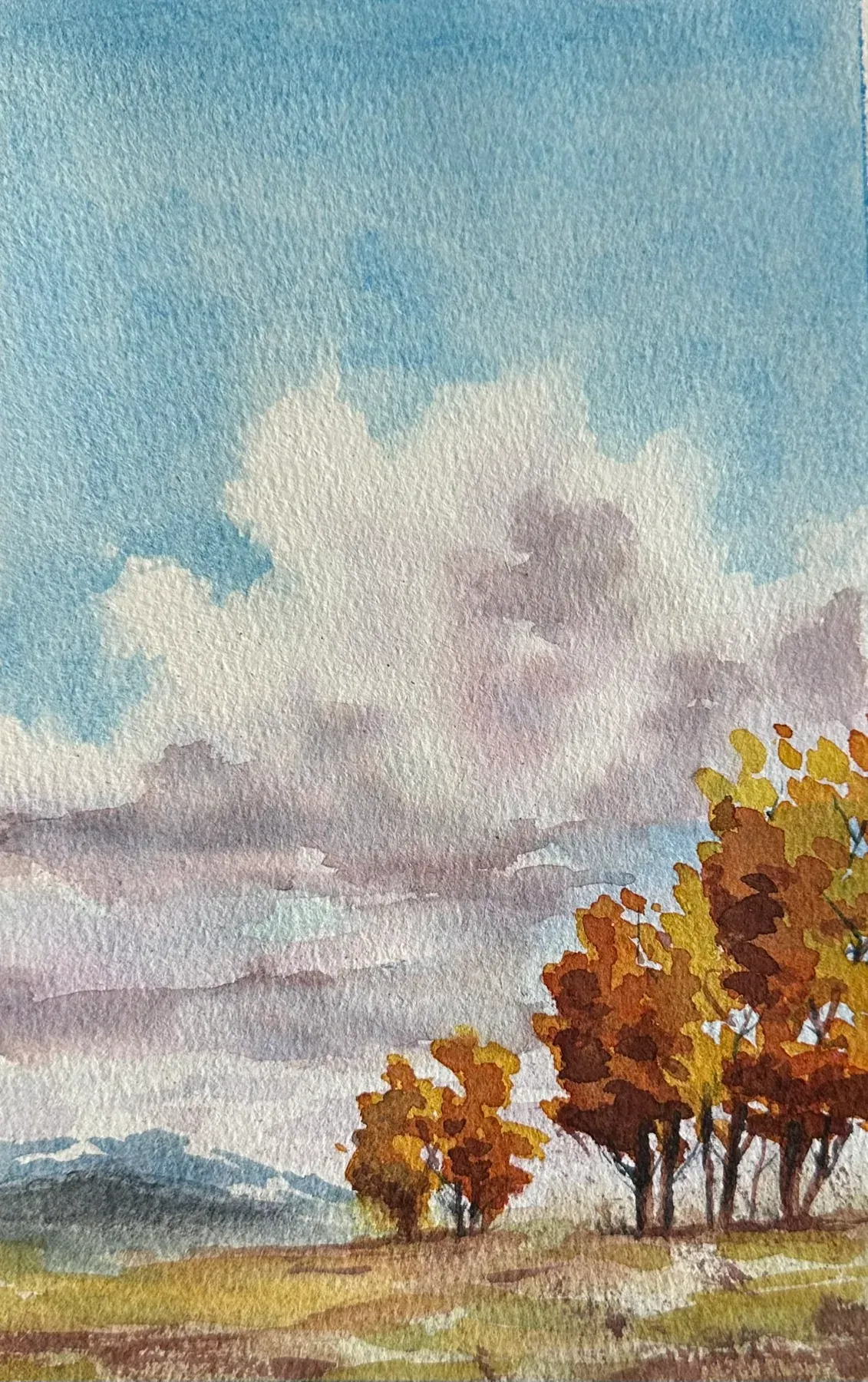 Autumn Trees