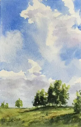 Field & Trees 1